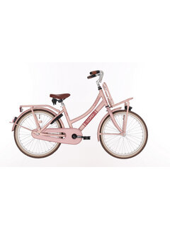 Bike Fun Kids Fiets Bikefun 20 RN Load meisjes