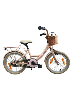 Bike Fun Kids Fiets Bikefun 16 RN Girly meisjes