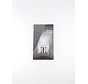 Lampjes Edge achter 6v 0.05 e10