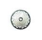 Cassette Xtrabike 12v 11-50 shimano