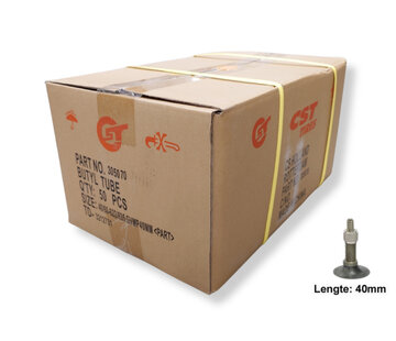 CST Bnb Cst 28x1.50-2.25
