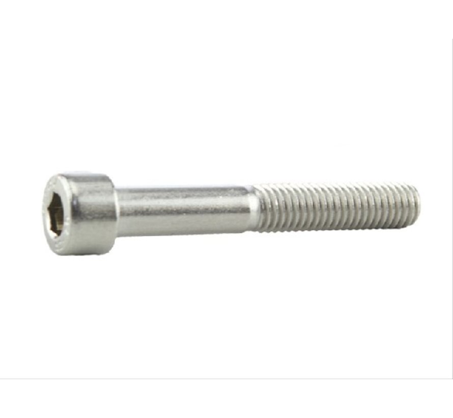Bout Xtrabike inbus m8x55 rvs