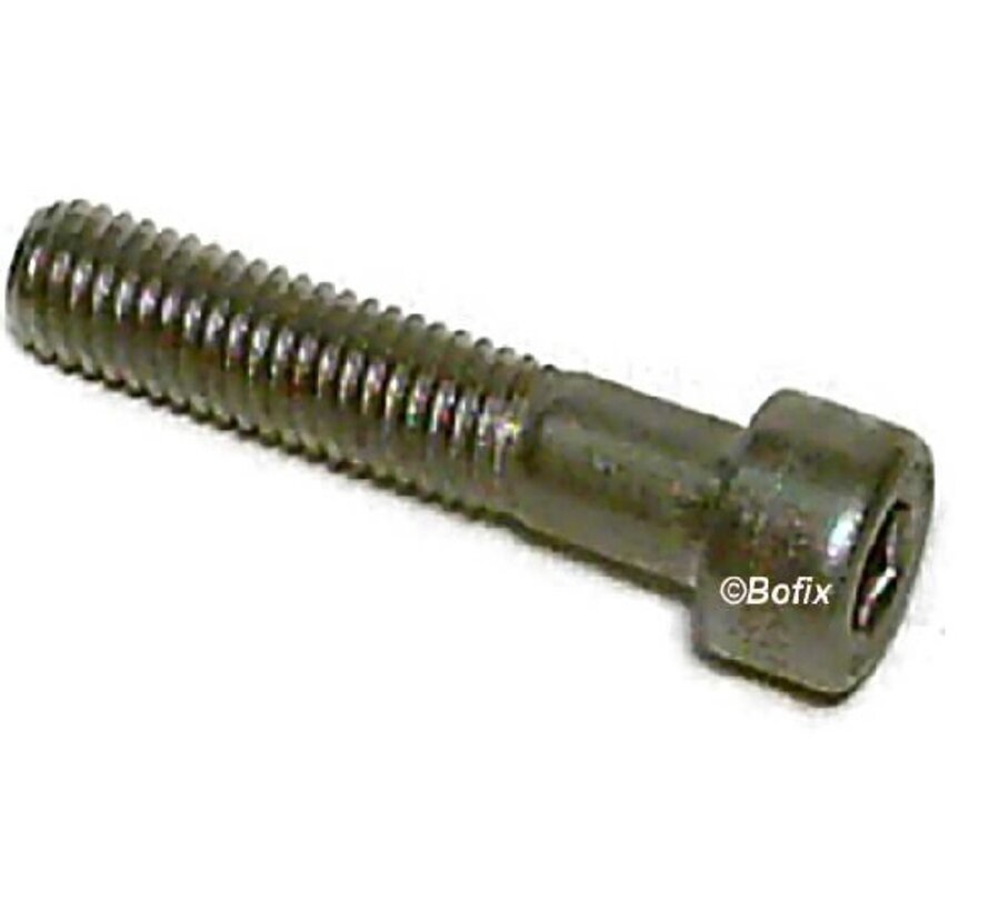 Bout Xtrabike inbus m8x55 staal