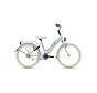 Fiets Bikefun 20 RN Lots of Love