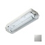 4MLUX Guard II LED T5 Buis 30cm 4W, 340 lumen, met nood (170 lumen, 2W), 4000K, licht-grijs/opaal