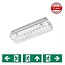 4MLUX Thetis AX 3W, nood/continu of schakelbaar of alleen nood, 150/150 lumen, IP65 incl. pictoproset 1