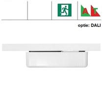 EMtrac 2,2W, spanningsrail noodverlichting, alleen nood met autotest (zelftest), 209 lumen, met witte of zwarte behuizing (optie DALI uitvoering)