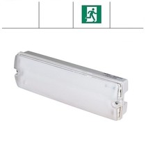 Apollo Pro 3W, noodverlichting-vluchtwegverlichting of anti paniekverlichting, nood/continu of schakelbaar of alleen nood, 170/170 lumen, IP65, wit/helder