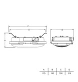 4MLUX Bulkhead LED serie, zone 1, 2, 21 en 22 EX explosieveilige verlichting (ATEX) 17W, 2450 lumen, IP66  (ook met groen en rood glas verkrijgbaar), 110-240 VAC/DC, 48-90VAC/DC of 24 VDC