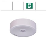 EM - Fox Lux Falcon Pro OA wit, 1,5W, alleen nood, open ruimte, OA 150 lumen, IP20