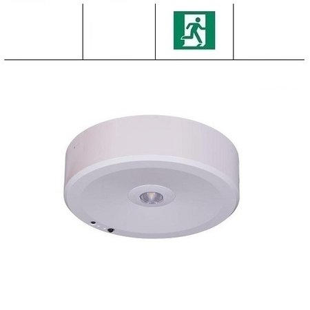 EM - Fox Lux Falcon Pro OA wit, 1,5W, alleen nood, open ruimte, OA 150 lumen, IP20