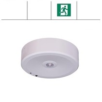 Voorraad opruiming! Tijdelijk prijs, Falcon Pro ER wit, 1,5W, alleen nood, vluchtroute, ER 140 lumen, IP20