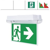 Thex-D 4W AT, nood/continu of schakelbaar of alleen nood (Autotest), 118/104 lumen, met IP65 testdrukker,  IP65, lichtgrijs/helder, incl. 1 pictogramplaat naar keuze