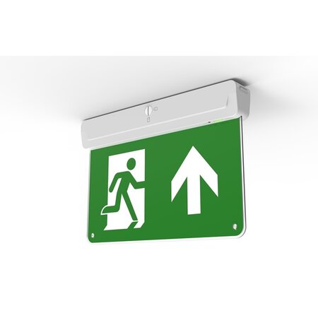 4MLUX RZR-WP 2,2W, opbouw wand of plafond noodverlichting, nood/continu of schakelbaar of alleen nood, 23/23 lumen, IP20