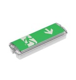 EM - Rhinolux Giggs 2,5, noodverlichting, nood/continu of schakelbaar of alleen nood, 170/110 lumen, IP65, incl. pictoset