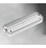 EM - Rhinolux Giggs 2,5, noodverlichting, nood/continu of schakelbaar of alleen nood, 170/110 lumen, IP65, incl. pictoset
