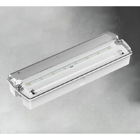 EM - Rhinolux Giggs 2,5, noodverlichting, nood/continu of schakelbaar of alleen nood, 170/110 lumen, IP65, incl. pictoset