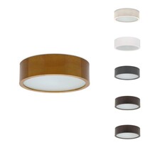 Woodle Ø275, 6 kleur opties, 6/8/10/12W Multi-wattage en 2700/4000/6500K Multi-kleur instelbare LED lichtbron