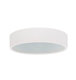 4MLUX Woodle Ø375, 6 kleur opties, 6/8/10/12W Multi-wattage en 2700/4000/6500K Multi-kleur instelbare LED lichtbron