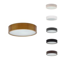 Woodle Ø375, 6 kleur opties, 9/12/15/18W Multi-wattage en 2700/4000/6500K Multi-kleur instelbare LED lichtbron