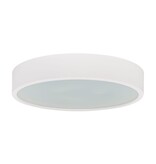 4MLUX Woodle Ø475, 6 kleur opties, 9/12/15/18W Multi-wattage en 2700/4000/6500K Multi-kleur instelbare LED lichtbron