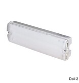 EM - Fox Lux Apollo Pro 5W, Dali 2, noodverlichting-vluchtwegverlichting of anti paniekverlichting, nood/continu of schakelbaar of alleen nood, 325/325 lumen, IP65, wit/helder