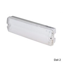 Apollo Pro 5W, Dali 2, noodverlichting-vluchtwegverlichting of anti paniekverlichting, nood/continu of schakelbaar of alleen nood, 325/325 lumen, IP65, wit/helder