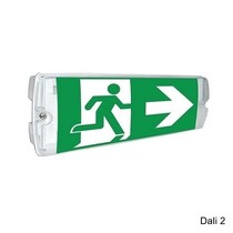 Apollo Pro Dali 2, noodverlichting-vluchtwegverlichting, nood/continu of schakelbaar of alleen nood, 320/320 lumen, IP65, wit/helder incl. pictoproset 1
