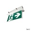 EM - Fox Lux Blade-I Pro Dali 2, inbouw noodverlichting-vluchtwegverlichting, nood/continu of schakelbaar of alleen nood, IP20, wit incl. pictogram naar keuze