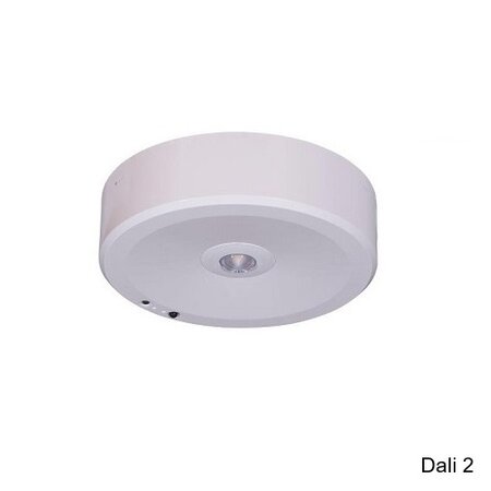 EM - Fox Lux Falcon Pro OA wit dali 2, 3W, alleen nood, open ruimte, OA 330 lumen, IP20