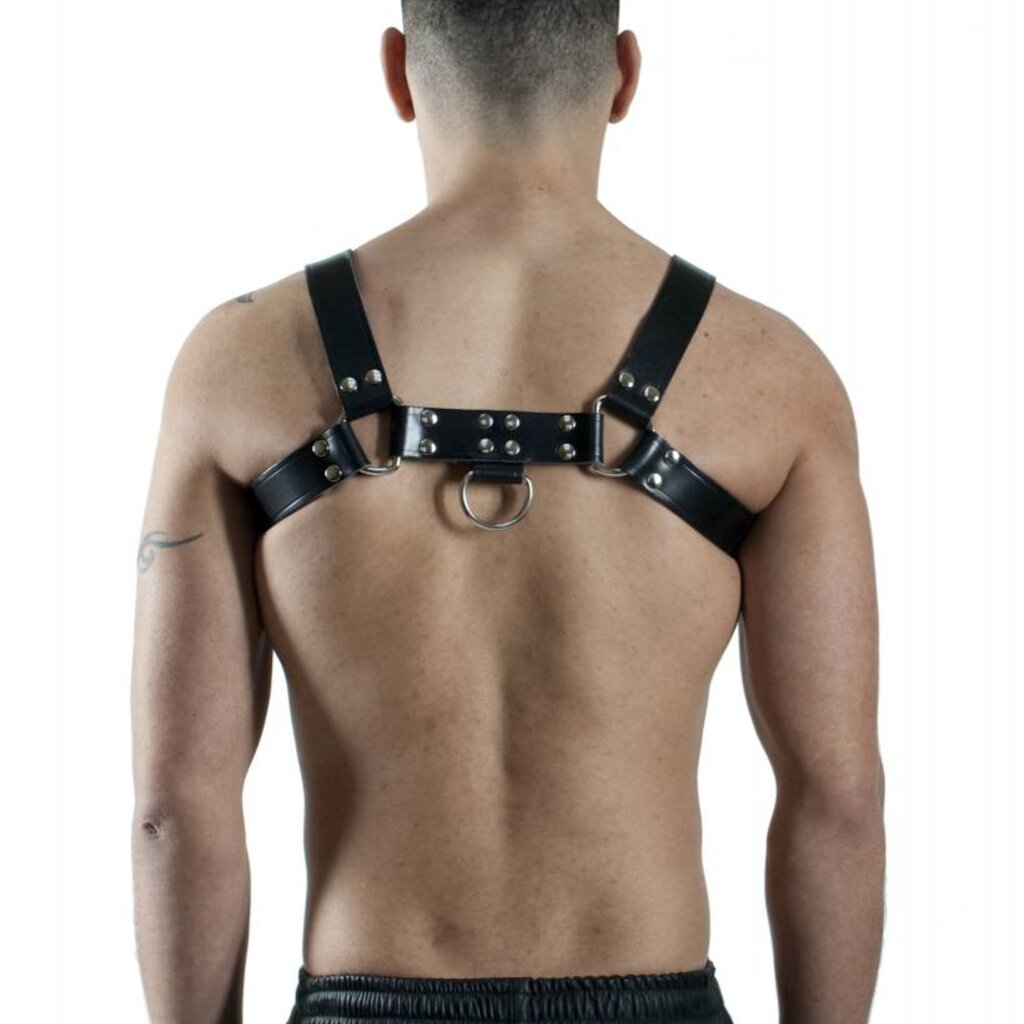 RoB H-Front Harness