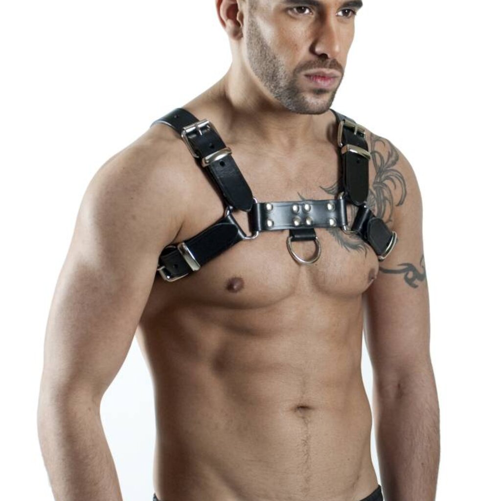 RoB H-Front Harness