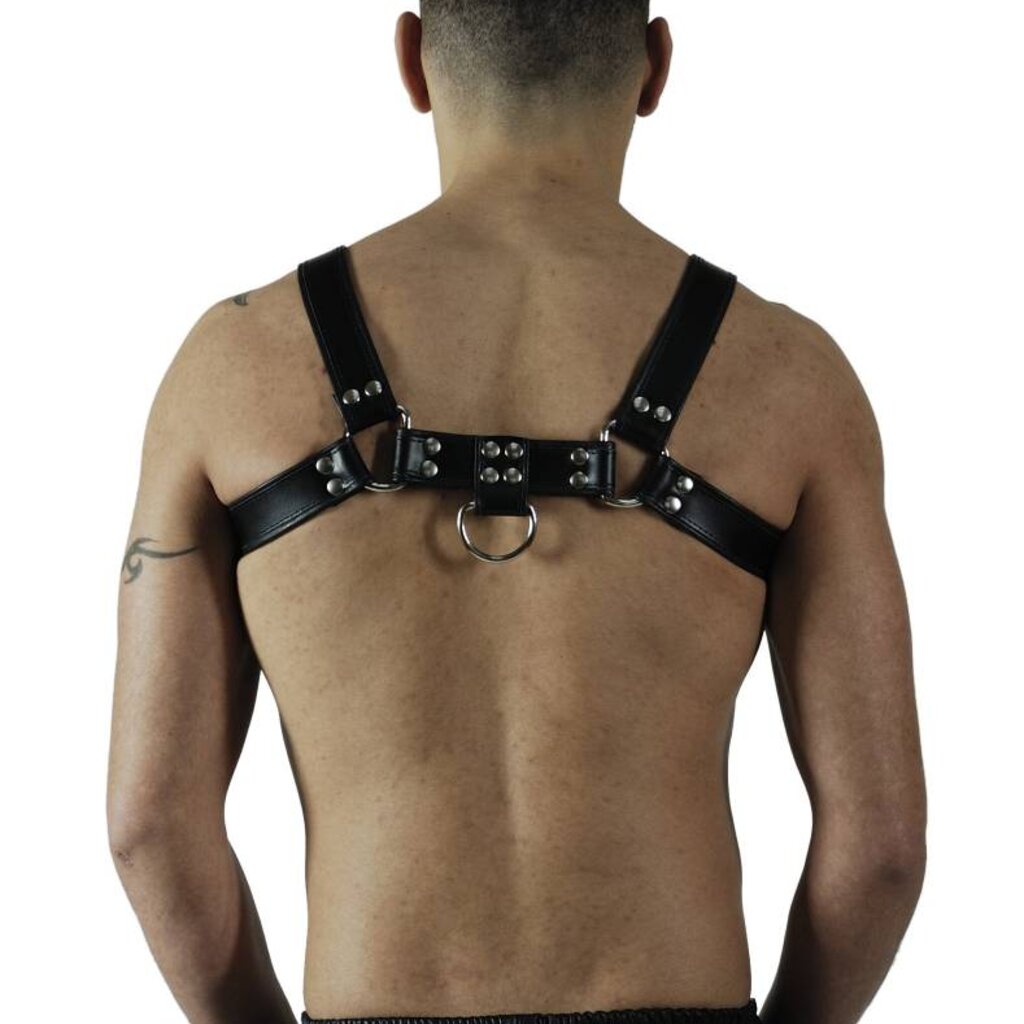 RoB H-Front Harness with black piping