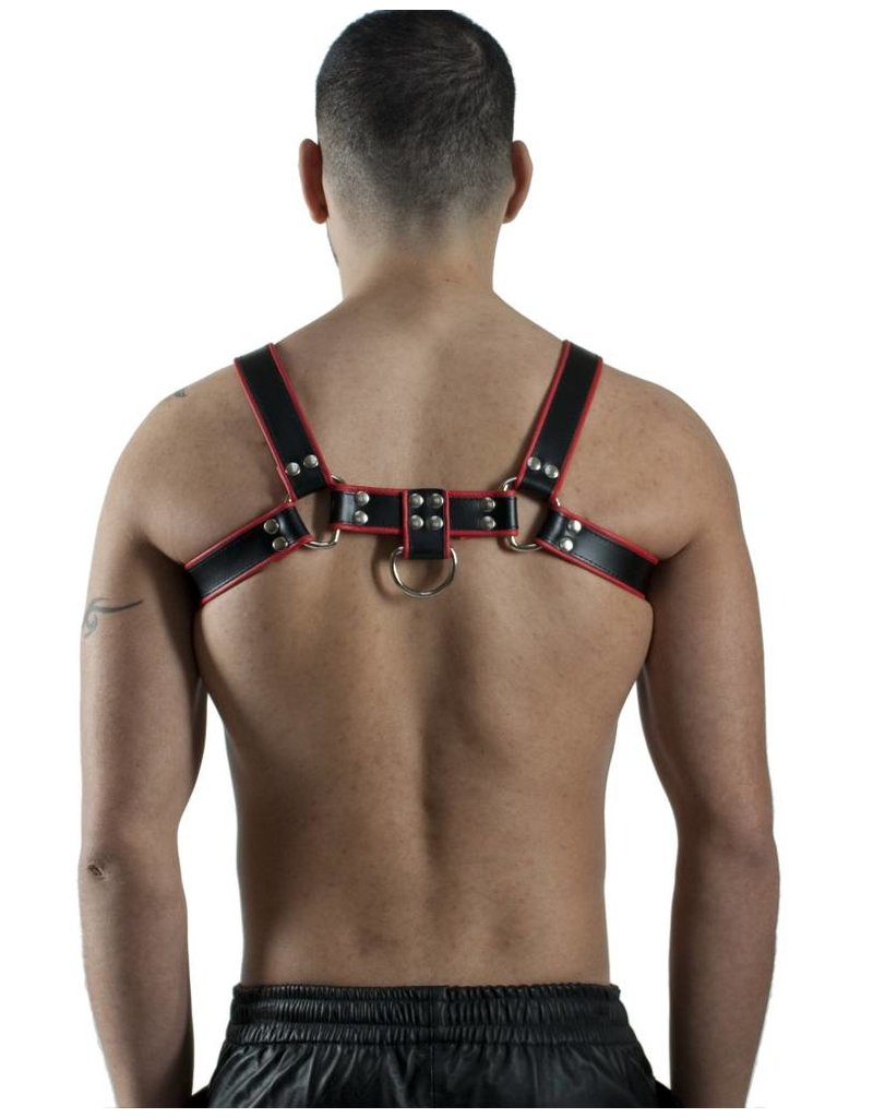RoB H-Front Harness black with red piping