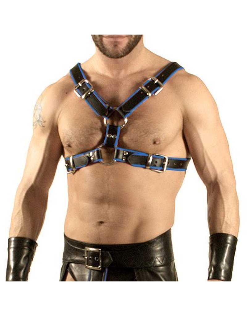 front and back harness