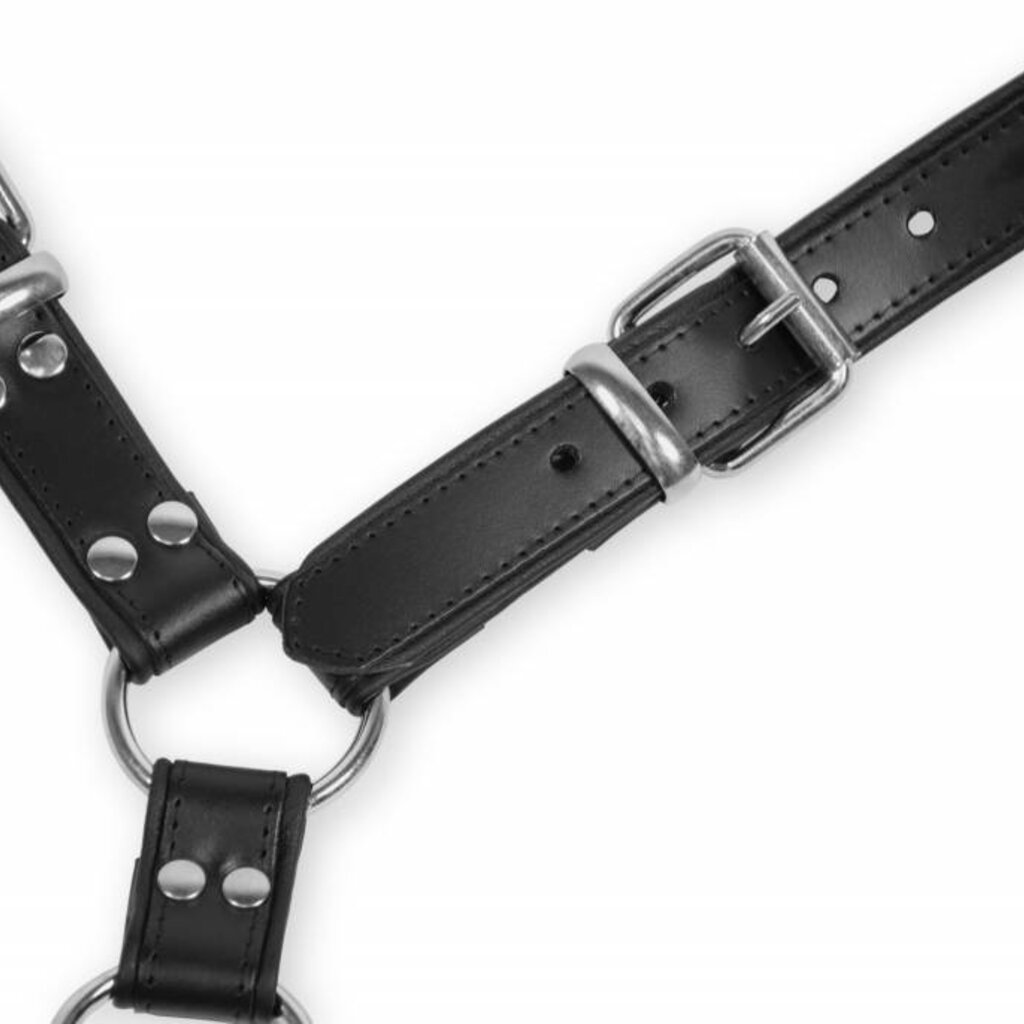 RoB Y-Front Brust Harness schwarz