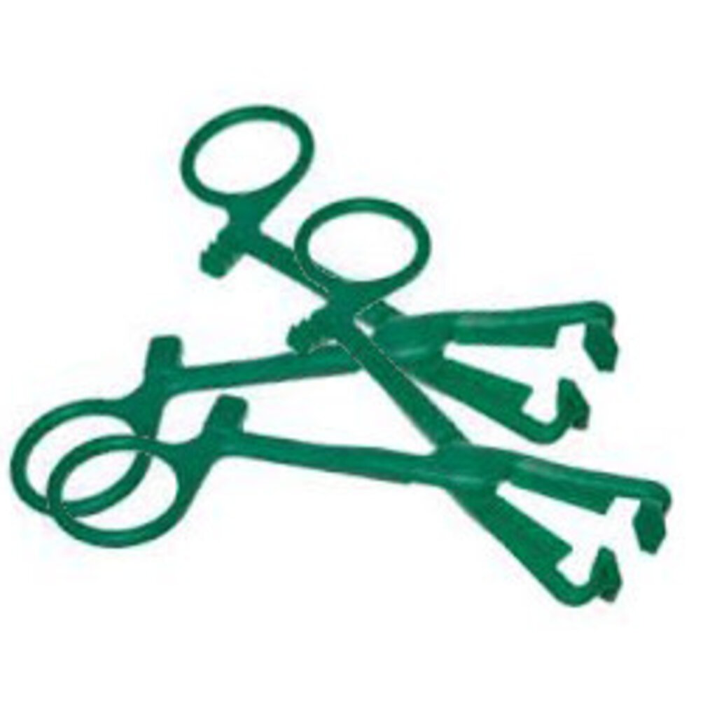 Green Forceps