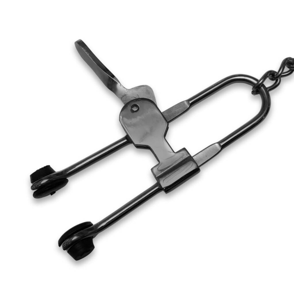 Kiotos Pressure Tit Lock Nipple Clamps