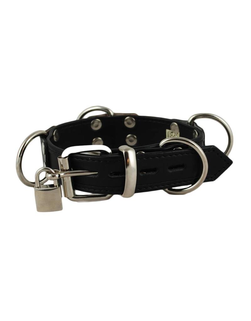 lockable dog collar
