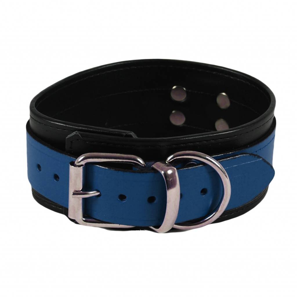 RoB Leather slave collar blue on black