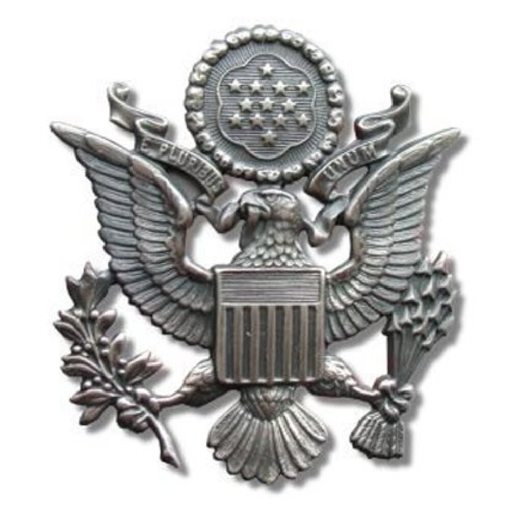 Metal Patch USAF