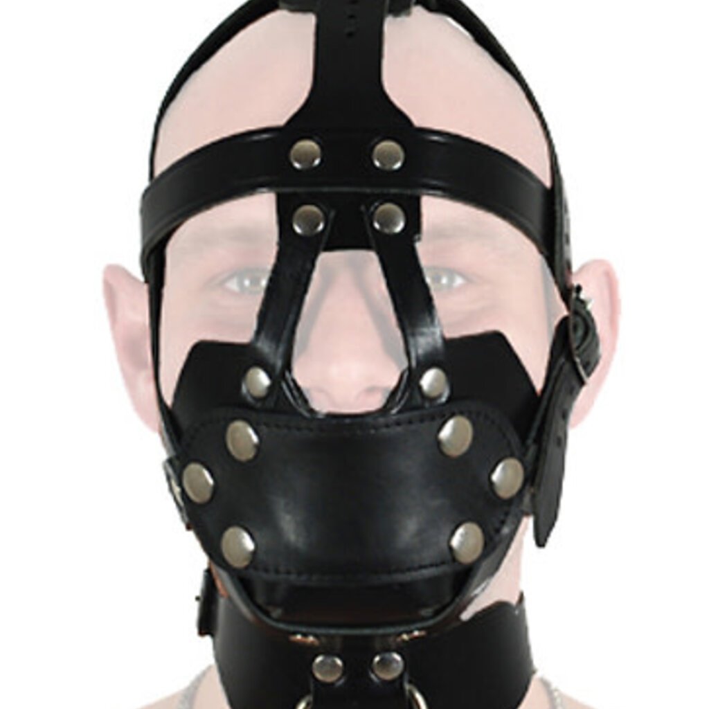 RoB Leather Head Harness