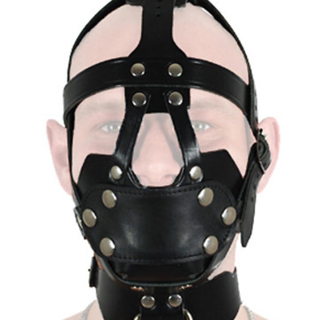 RoB Saddle Leather Head Harness