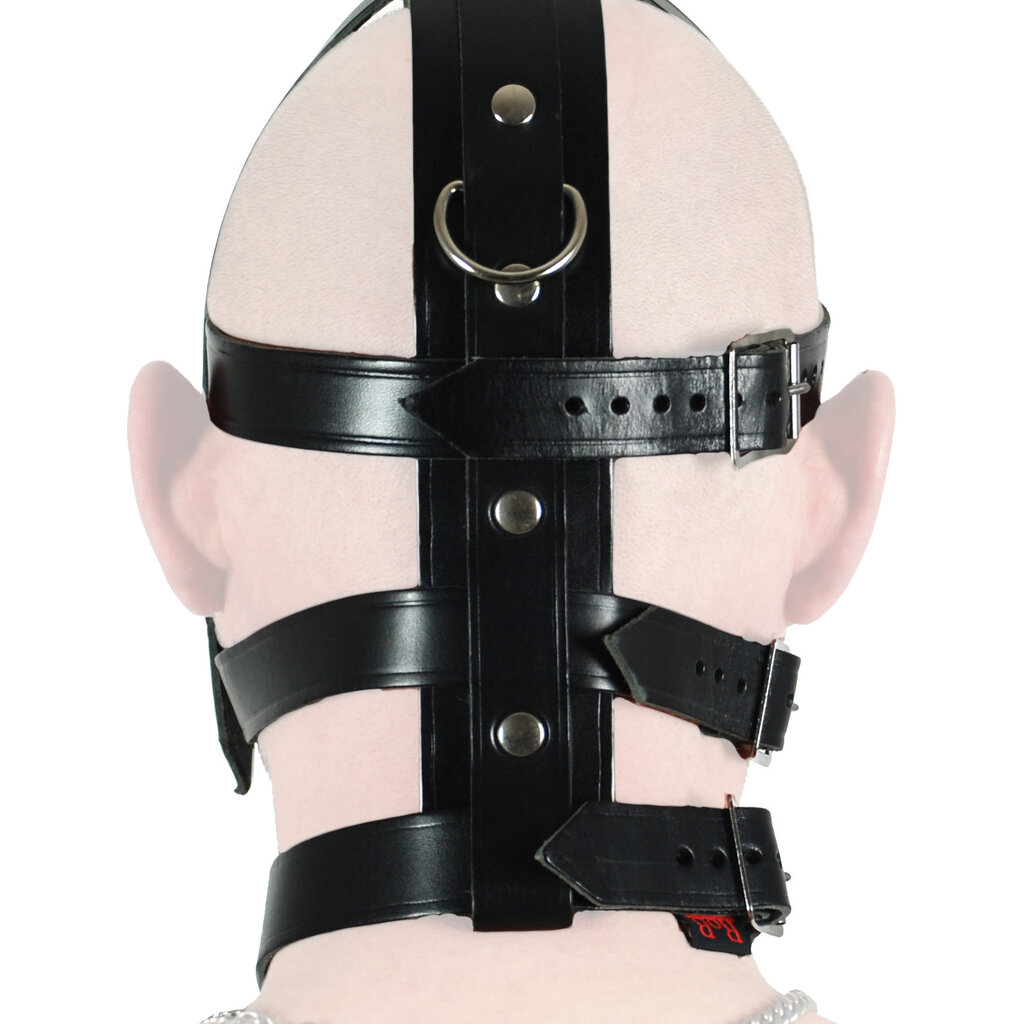 RoB Saddle Leather Head Harness