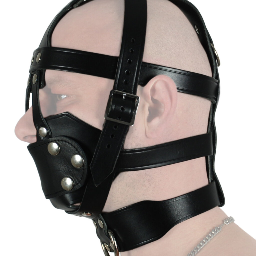RoB Saddle Leather Head Harness