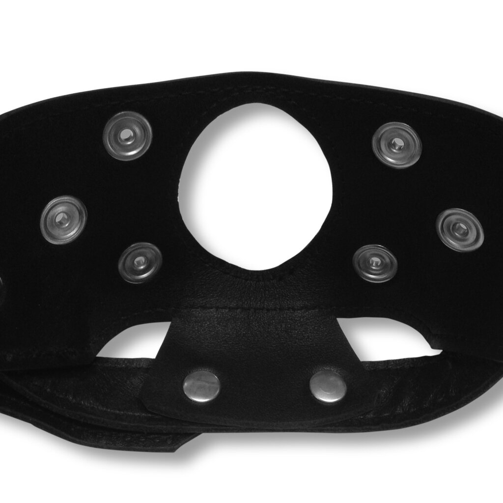 RoB Mouth and Chin Harness with interchangeable Mouth Piece