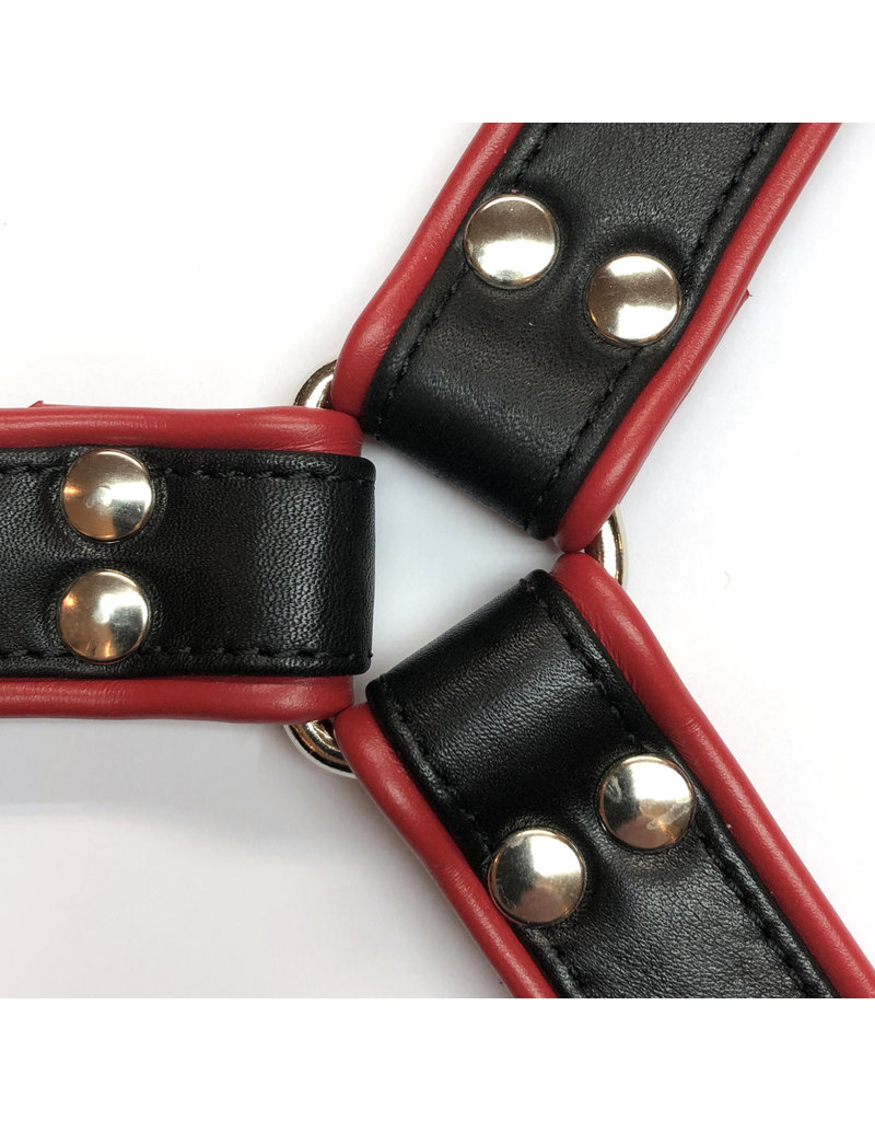 RoB H-Front Harness schwarz mit roten Piping