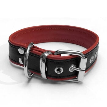 RoB Leather slave collar with 1 D-ring with colored piping