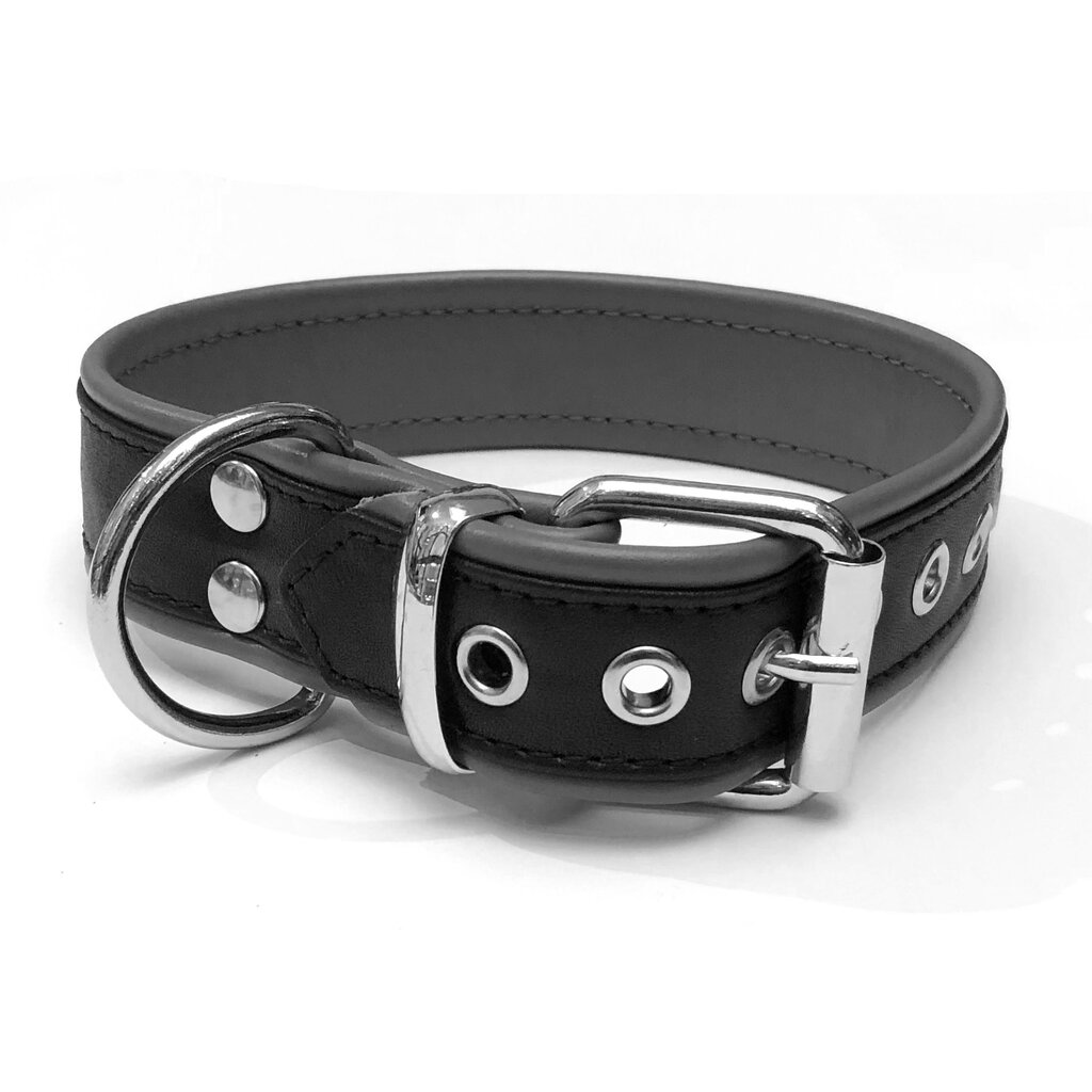 RoB Leather slave collar with 1 D-ring with colored piping