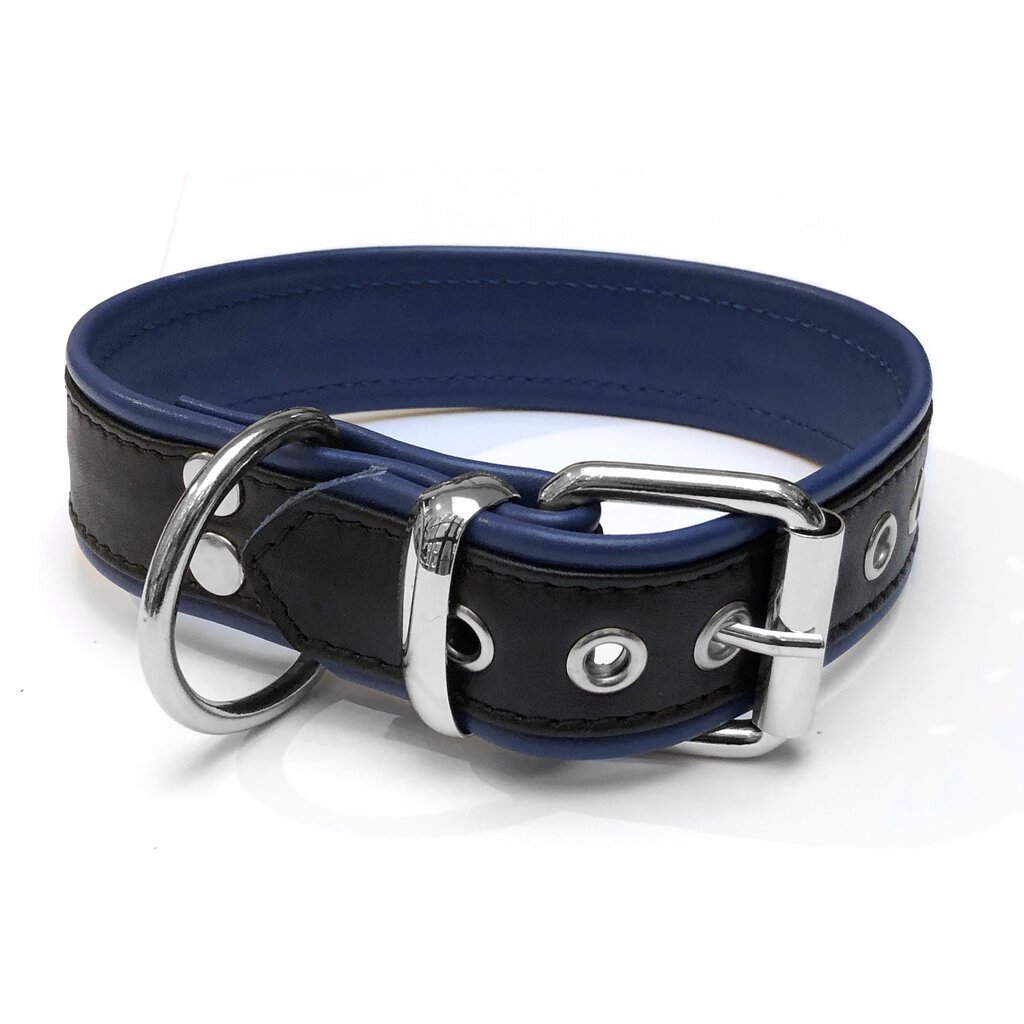 RoB Leather slave collar with 1 D-ring with colored piping